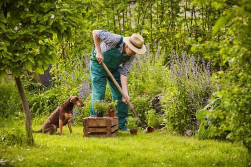 Supplier audit and workforce compliance review in tree surgery operations
