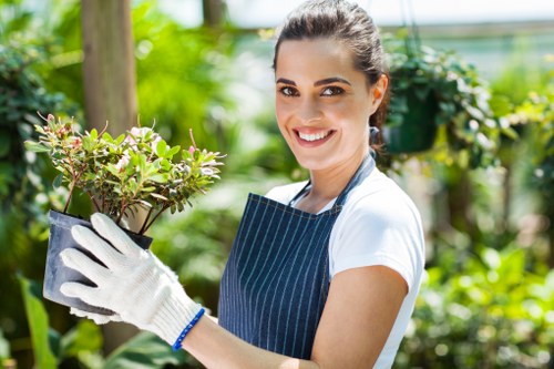 Tree Surgeons Downham cookie policy introduction