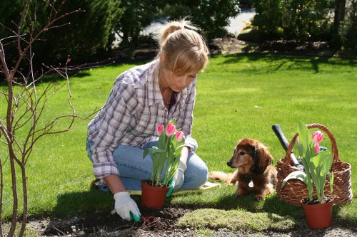 Tree surgeons in Downham preparing a clear and fair quotation